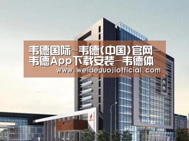 案例展示七