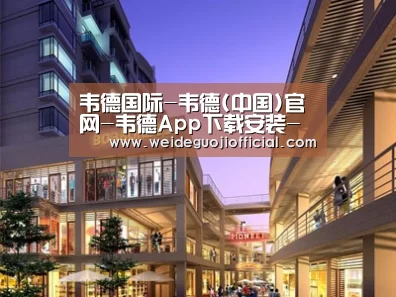 案例展示一