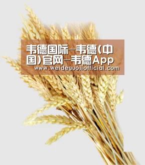 韦德国际-韦德(中国)官网-韦德App下载安装-韦德体育官网