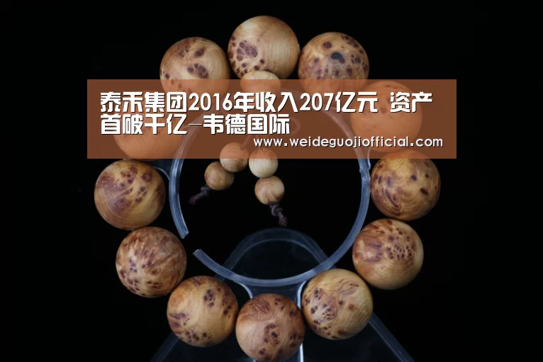 泰禾集团2016年收入207亿元 资产首破千亿-韦德国际(图2) 韦德体育