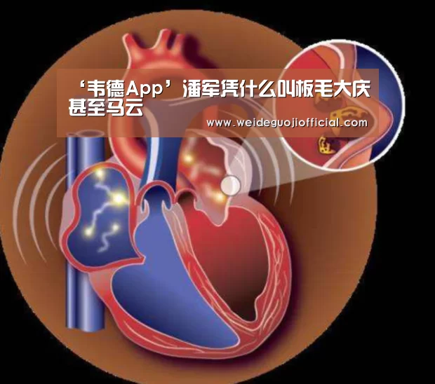 韦德官网