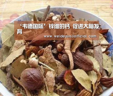 ‘韦德国际’锌维的钙 促进大脑发育(图2) 韦德体育