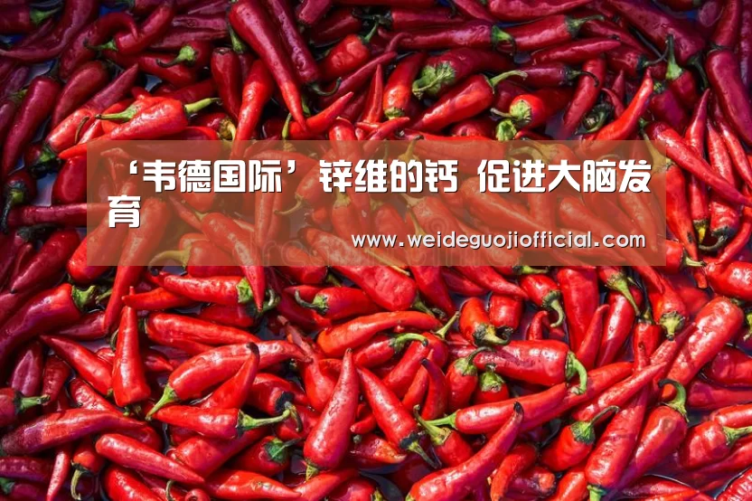 ‘韦德国际’锌维的钙 促进大脑发育(图4) 韦德国际