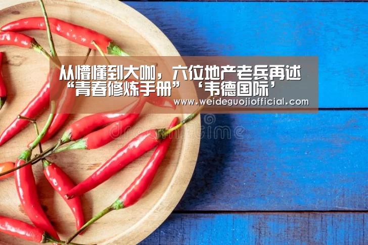 从懵懂到大咖,六位地产老兵再述“青春修炼手册”‘韦德国际’(图3) 韦德国际