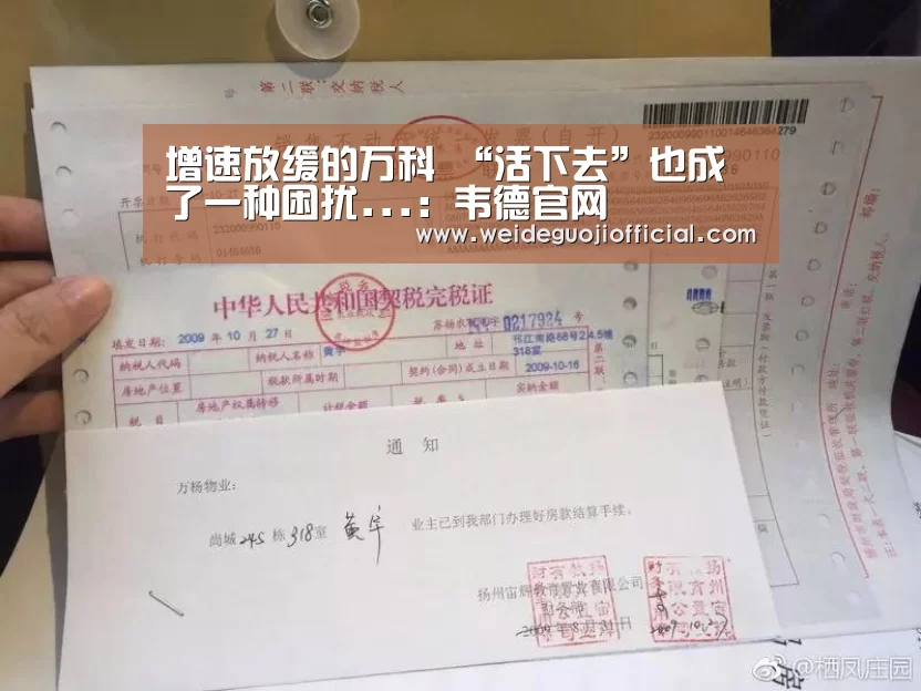 增速放缓的万科 “活下去”也成了一种困扰...:韦德官网(图3) 韦德官网