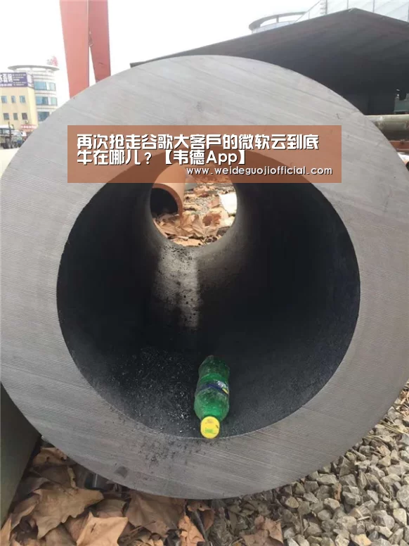 再次抢走谷歌大客户的微软云到底牛在哪儿?【韦德App】(图2) 韦德国际