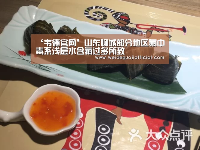 ‘韦德官网’山东聊城部分地区氟中毒系浅层水含氟过多所致(图3) 韦德国际
